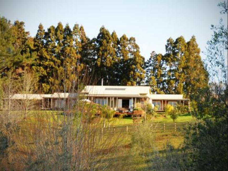 Puketotara Lodge 케리케리 외부 사진