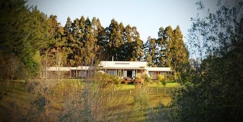 Puketotara Lodge 케리케리 외부 사진
